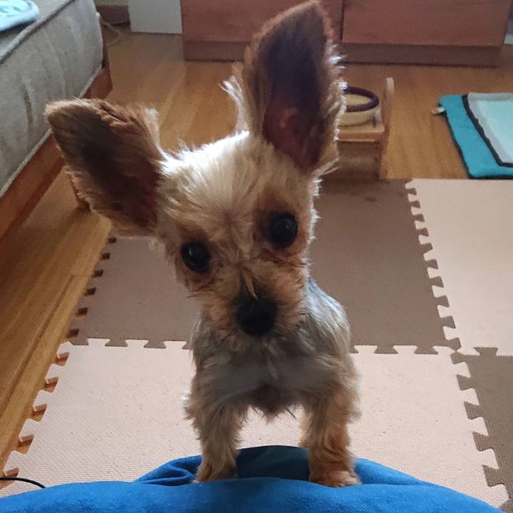 38f0ada6 ee3d 49cf 853e 11bc5a2649e5 1566514982805