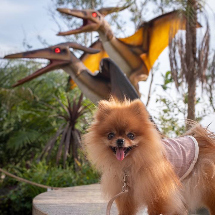 38f0d553 2227 4d05 a74d 48fc4c6cde7b 1629946351273