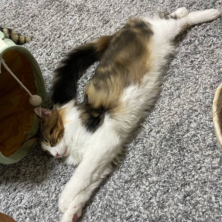 38f14a6d f48c 4395 84e7 0d3277ebd88a 1638360502384