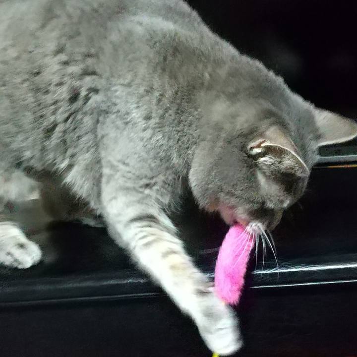 38f17441 ea1f 48e6 81dc b018af6d41ad 1677416516778