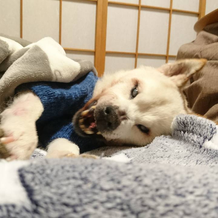 38f1a016 39ba 46db b7e7 bd29d428e953 1546514873792