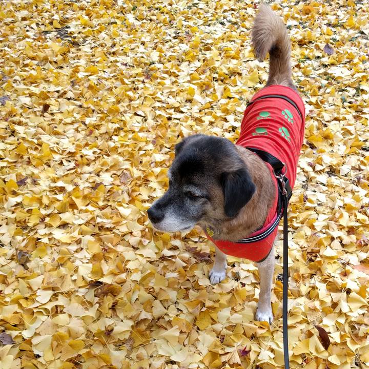 38f1ad8e a1b8 4583 a953 55e4ceb3b79a 1701476645610