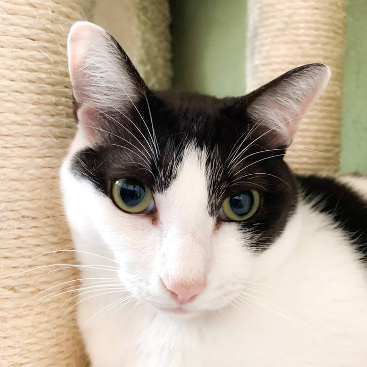 38f1f1d2 5752 4bcd a96a 4743bad53515 1568426621882