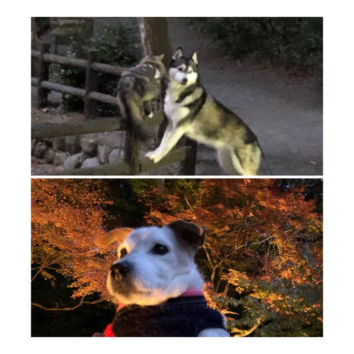 38f1fcc9 86be 4548 b697 e26e9cb35077 1638017615853