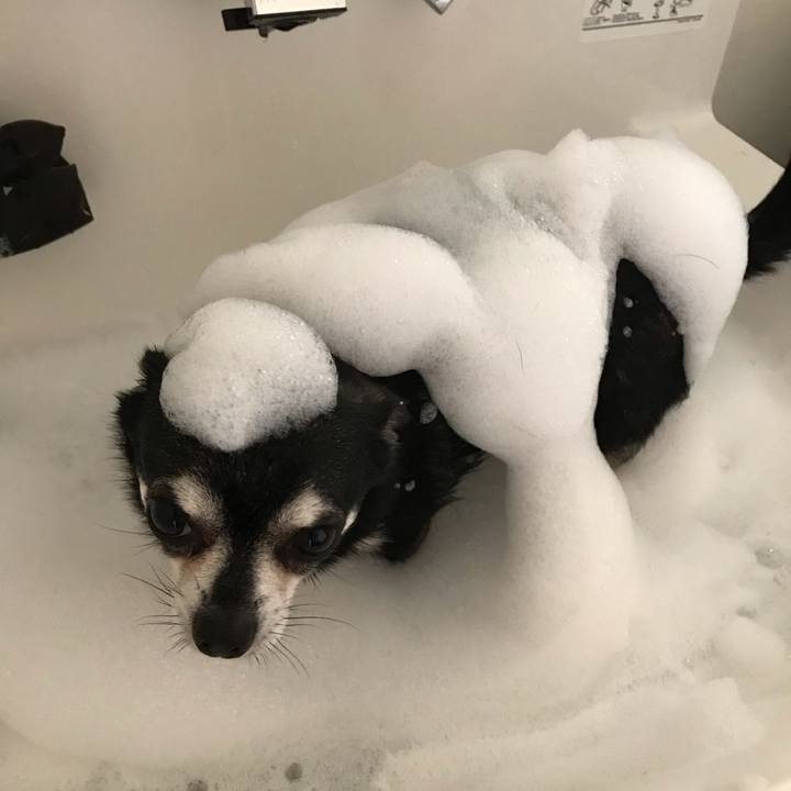 38f200cd 989a 4176 82f4 987c40c9ef34 1564793164677