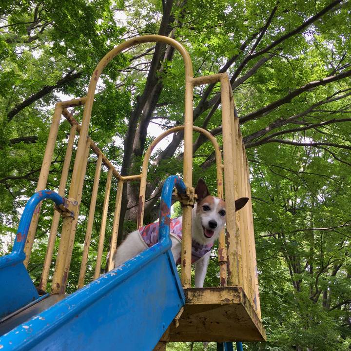 38f21f64 d295 4f7a 934f 0ca60b3e957d 1658359299824