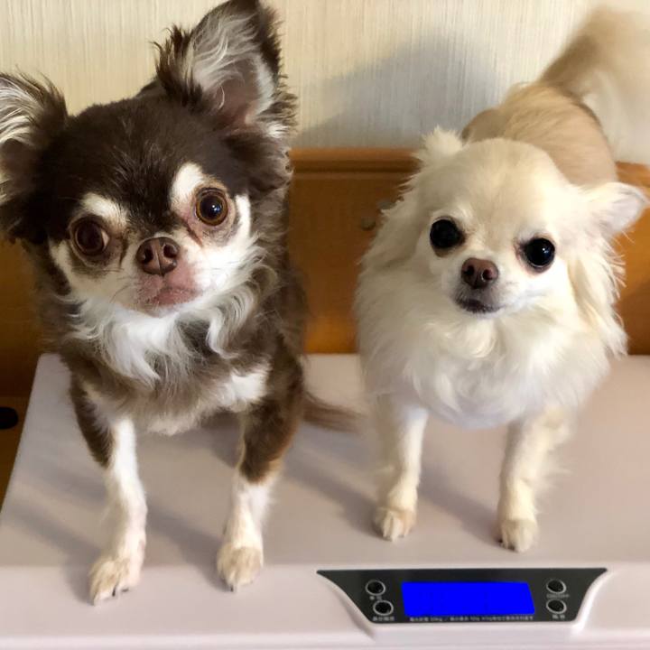 38f2d8fc 5e3f 4d26 9a05 511fa65203c9 1530057319664