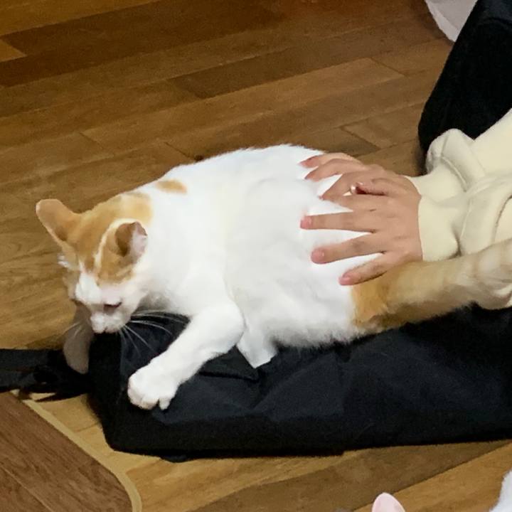 38f2deba db7f 4395 b9dd 361148e00500 1650549639573