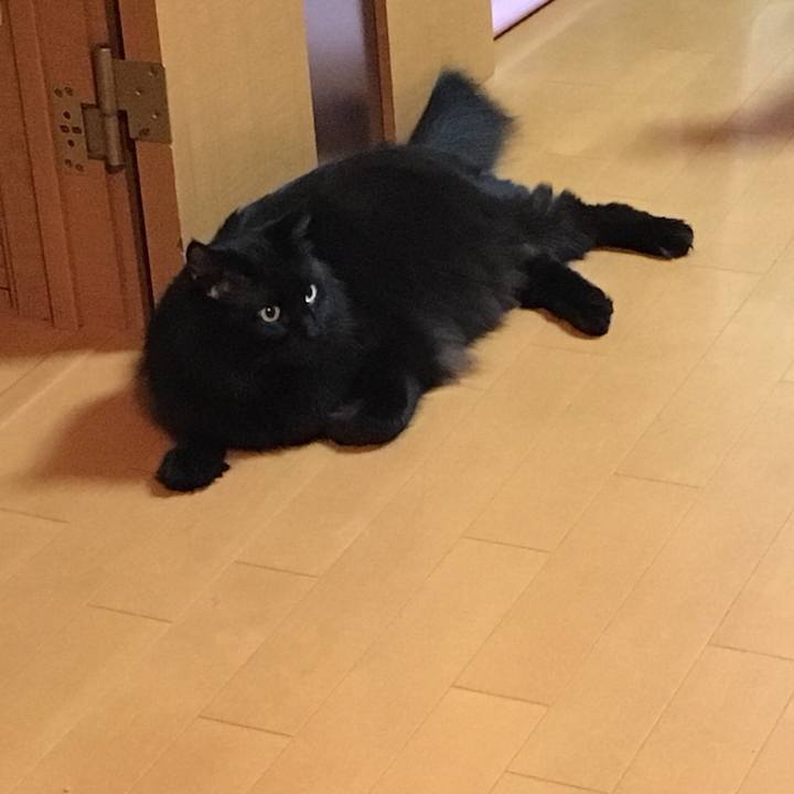 38f2e47a 3c2e 4840 8860 848a1f12b44c 1515683962425