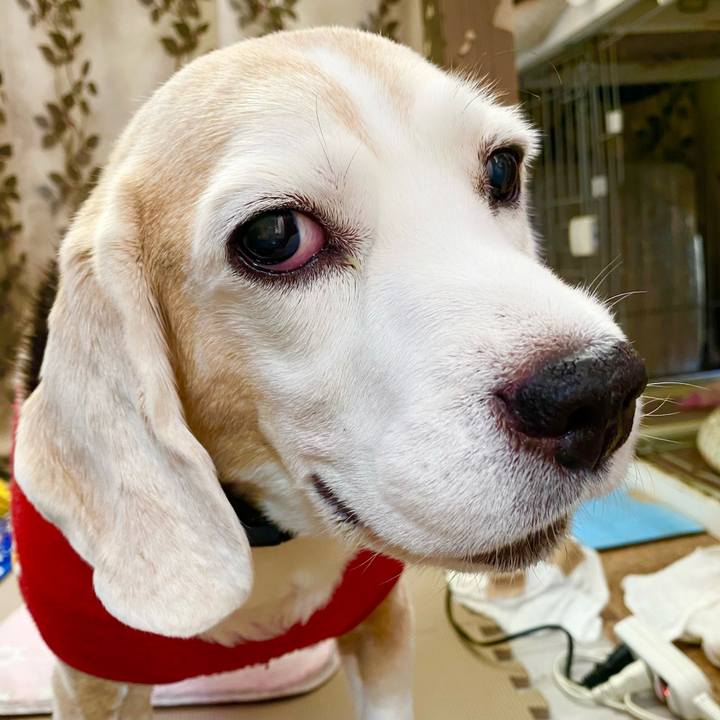 38f2e4bb 1076 455d bd3b fac66fec6a9d 1666237726466