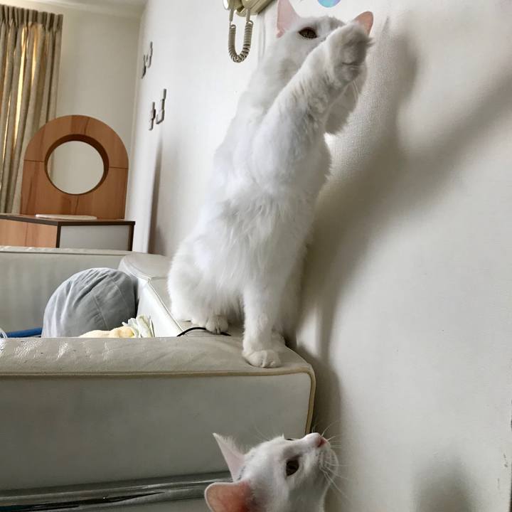 38f317ca 8afe 46ba 8463 3c61b306331b 1569553779302