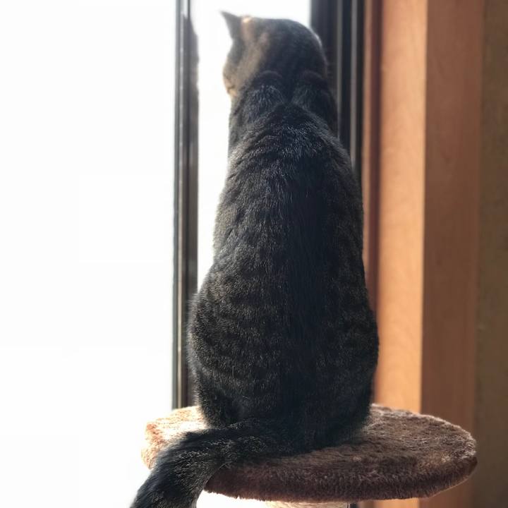 38f320ec 5818 42c7 bdee 46266b4839a7 1522717465326