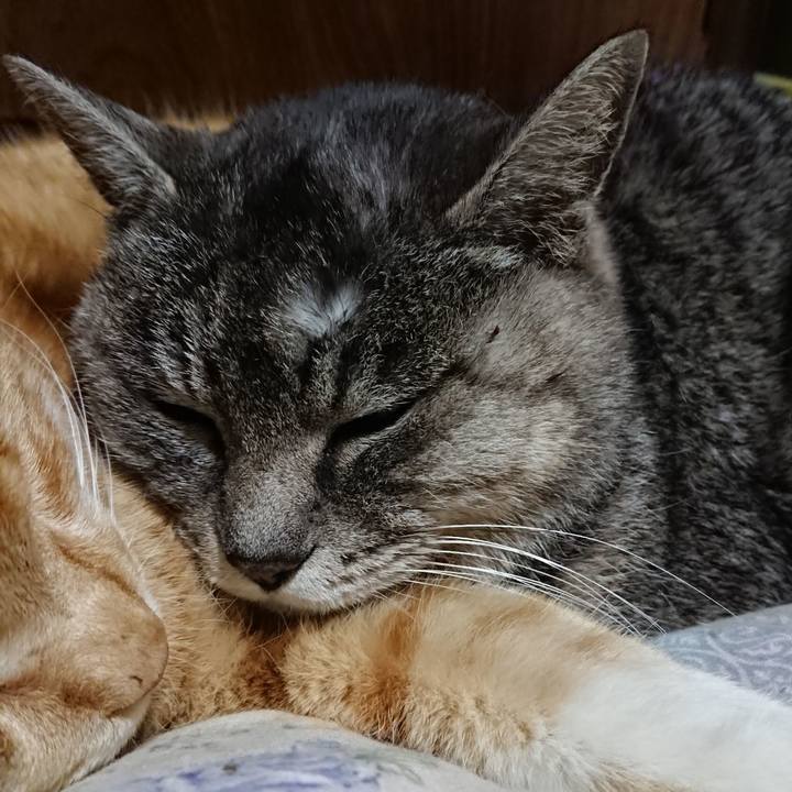 38f355e4 6824 4d55 ade1 c89548a3b038 1578658866878