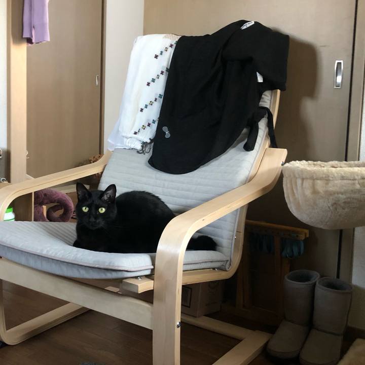 38f36785 858f 4a8f aab4 cfd418552cec 1638332624639