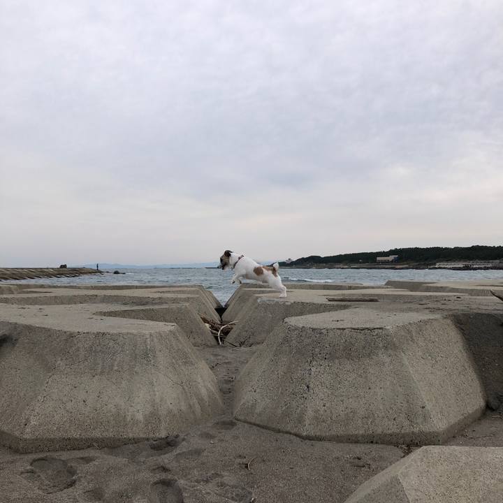 38f396ce 0b92 4f9f 9ff3 9d5d5697b65f 1602197422632