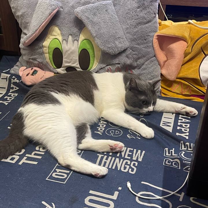 38f3ca99 132b 4f6a a06a 2e58cb925e61 1749146272520