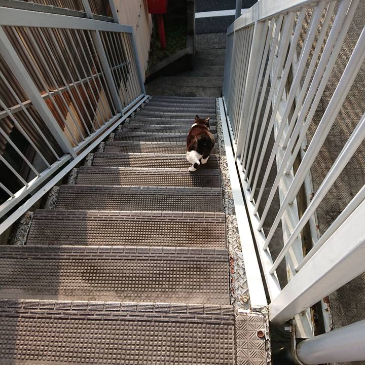 38f4141b 2cee 4dc6 89c4 1756fcae88e8 1661334760241