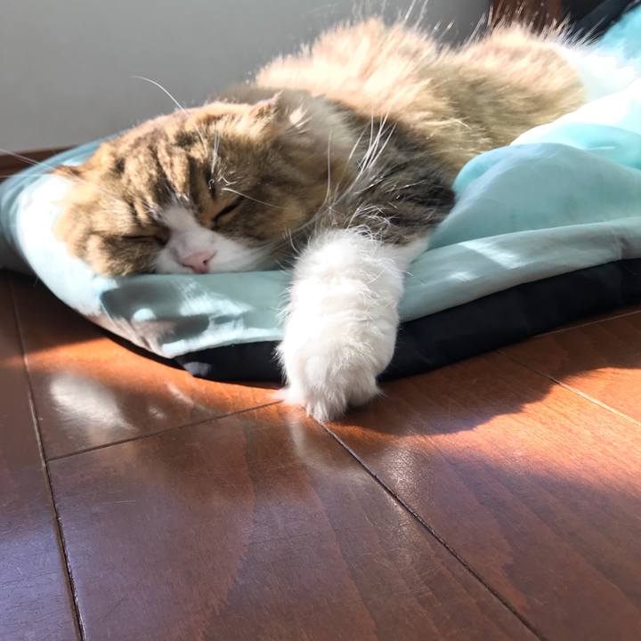 38f44190 fcef 4391 8b18 7a78ed9de3f4 1515838673748