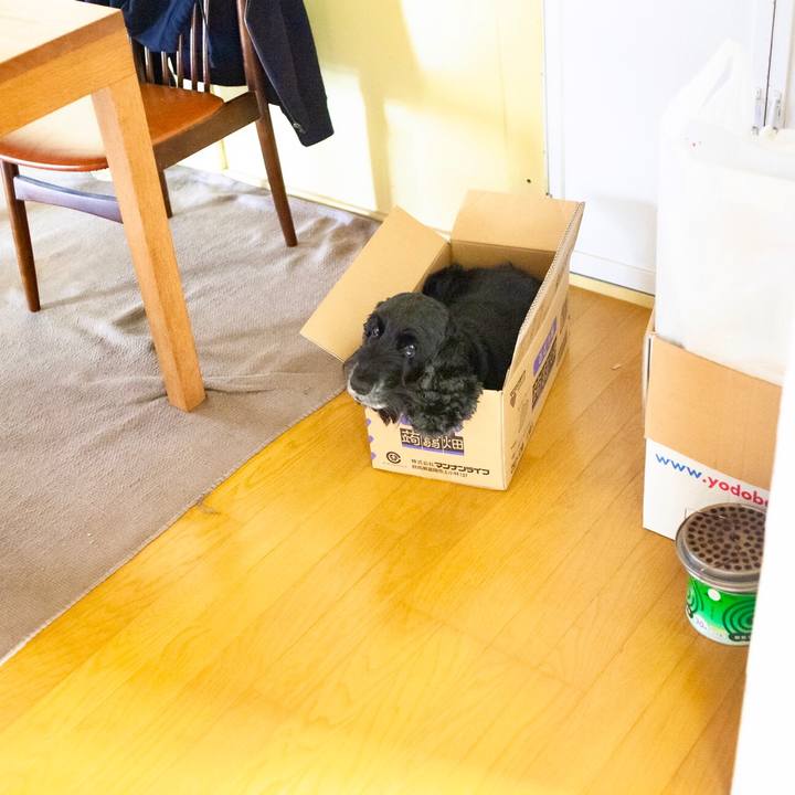 38f455dd 71b6 4478 b8ba 75fe16d1012d 1593307351975