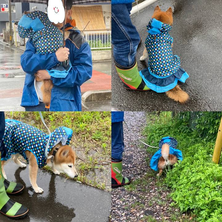 38f46479 673f 4f24 a62a 596948a48d9a 1746493076390