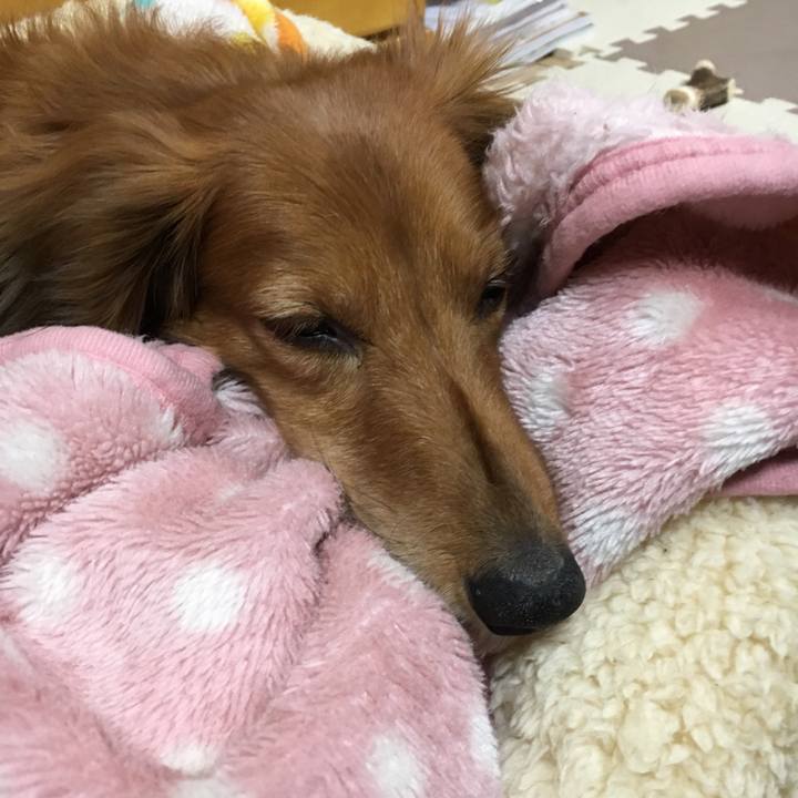 38f48284 0e4c 441e 8e06 2ce69e47cbe9 1544711913853