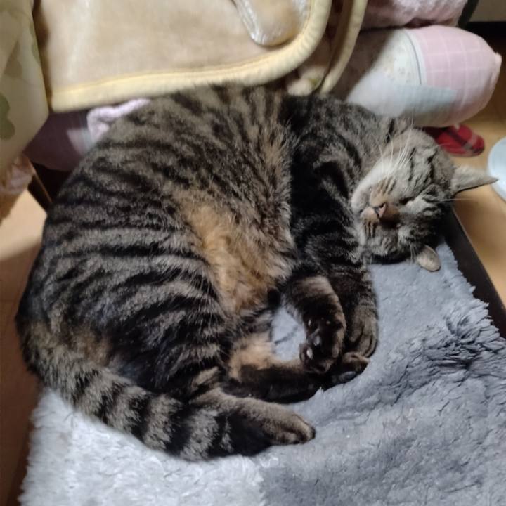 38f50f9b ca1f 455c a5b0 92ba748134d6 1670627600044