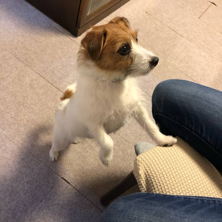 38f5243a a0bf 41e9 a796 be20e4978233 1572737006058