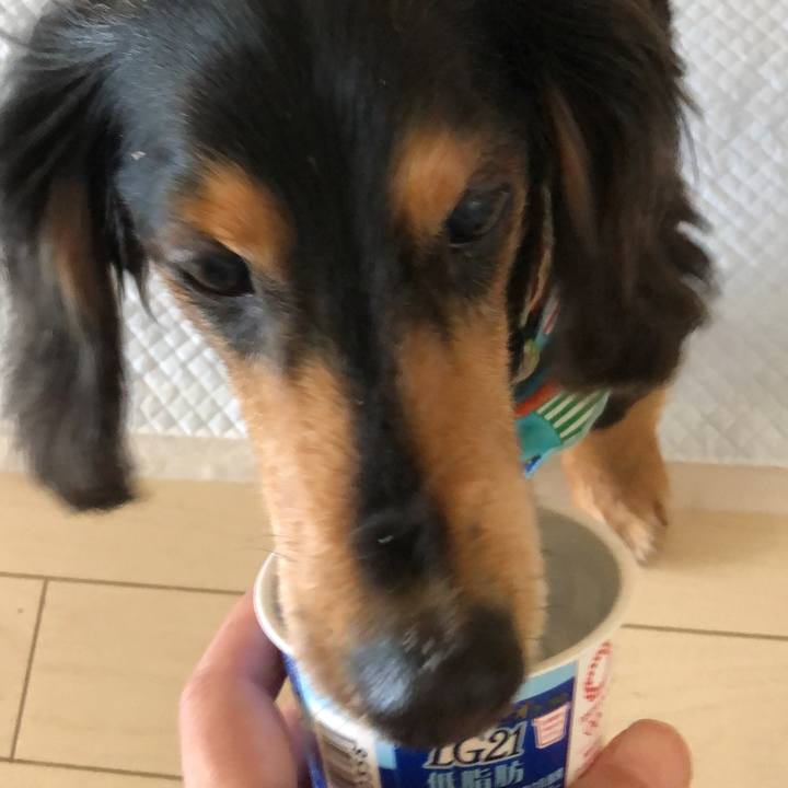 38f5580e 7105 448f 90c4 8bfc4538cec0 1560814794509