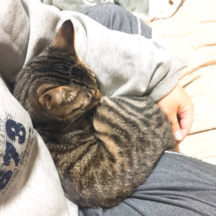 38f57775 4924 4ba1 b4c1 7b39760611d2 1542093035897