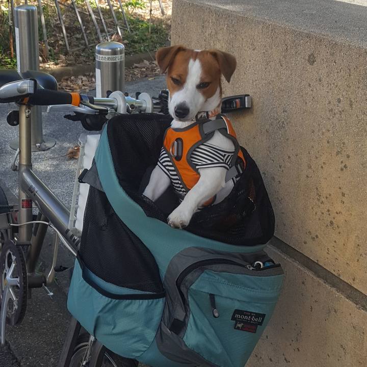 38f5835c 5c91 4c1d 9958 7067795fb21a 1573544294703