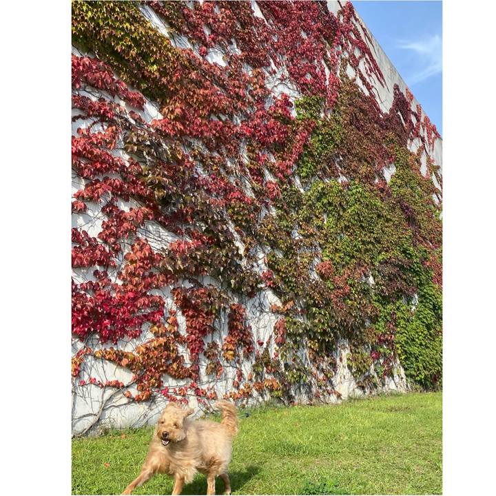 38f5d8ba e8cb 4811 9780 581b02a8ed9e 1632614531374