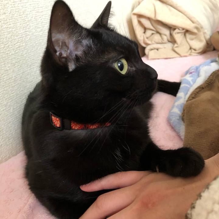 38f5d9e2 dfac 497f 813b 295774aa651a 1558914252598