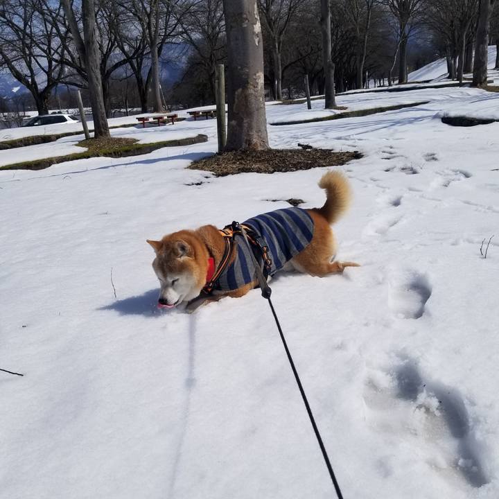 38f62669 7968 4a37 a186 fc52a092f0f1 1709866661749