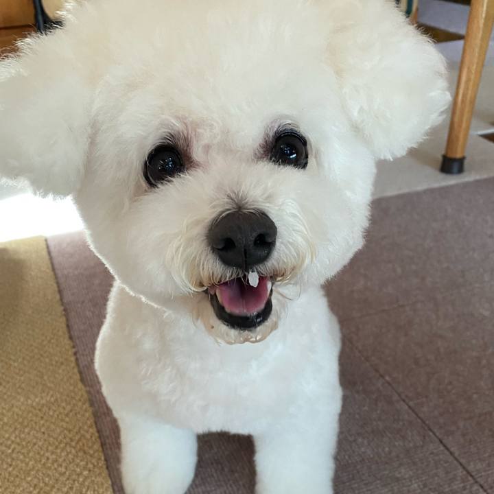 38f65043 df50 45de aa48 4efb4458c786 1697432647128