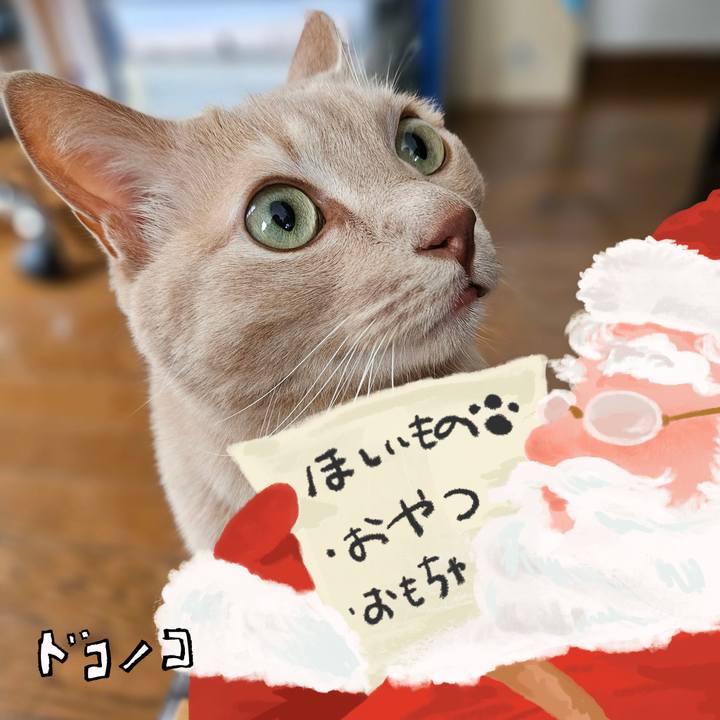 38f661fd d0db 417e abd0 32c36c65c007 1729396681540