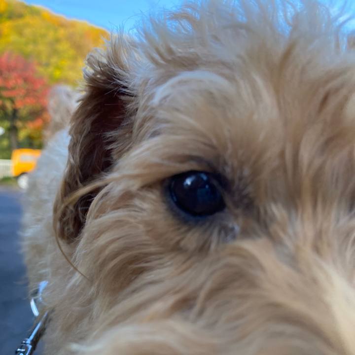 38f670f2 7bda 4605 856c 71d40c587e9a 1634862659500