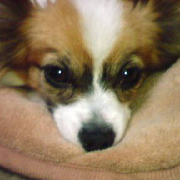 38f68002 8331 4c5a b7e3 3af0d00ce943 1539265738548