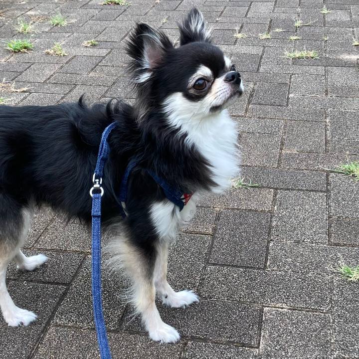 38f69b5d d961 44a4 a6d7 0bd585f74f99 1661569986269