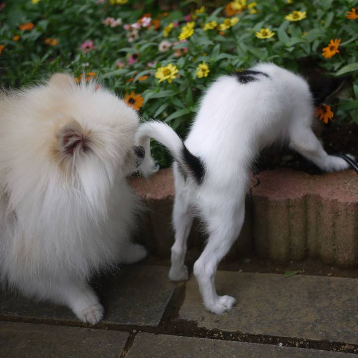 38f6d137 ed0e 4e13 b93e fc41fa5e1e92 1600499233327