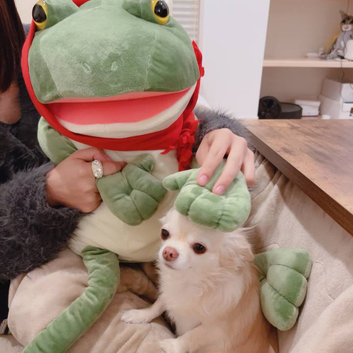 38f6d766 5f1c 4bf4 90e7 dd38a8c405a6 1763646940568