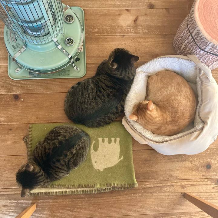 38f6d86f 5f95 4ca9 9c5c e78c40f02f56 1766820500635