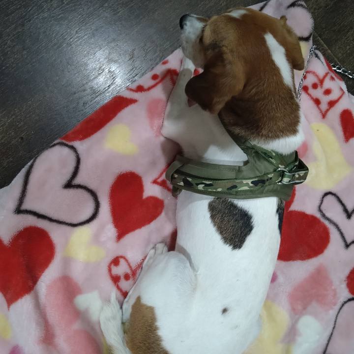 38f6da1c 2121 4c7b a113 be21535cc5e1 1665549052503