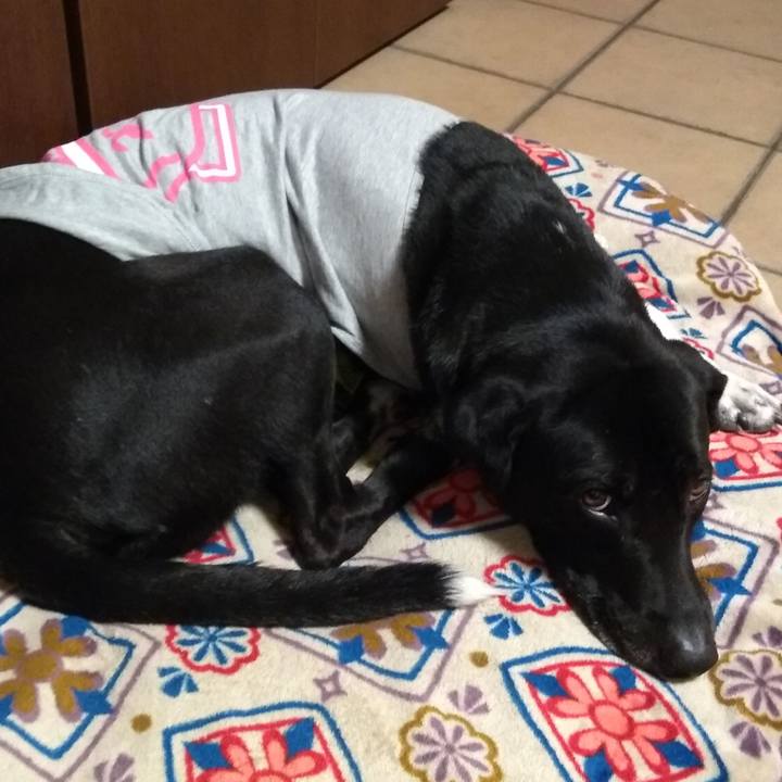 38f6ec8a 31d6 4423 8333 5b77b292bc28 1614162172635