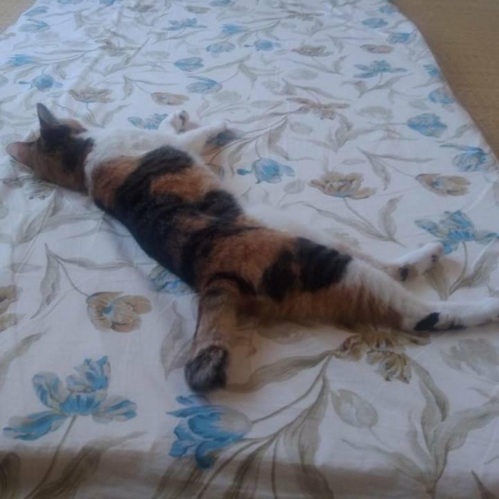 38f6f052 e75f 420d bd65 ef3fe1f0bd1d 1626584334497