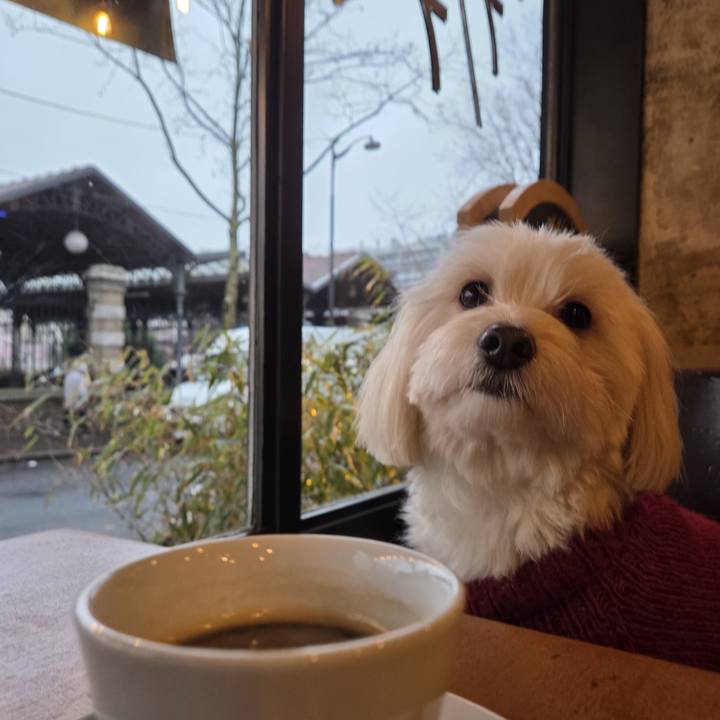 38f76677 ea4a 475d 845b 24da3b32bad8 1771176993550