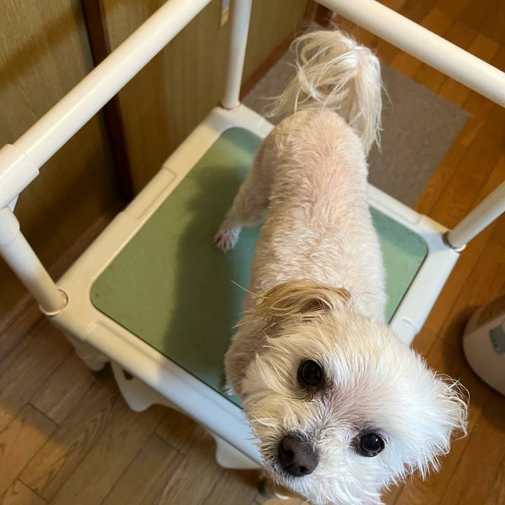 38f76c62 ed27 458e a597 0f2f21394b99 1674817833084