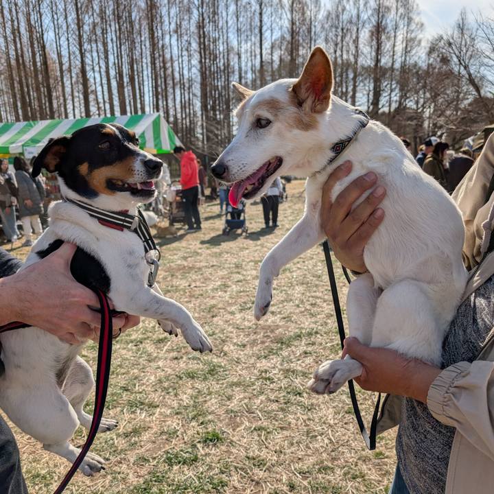 38f7877c 4f20 4ba7 879c 24d09f35e7ef 1740820376954