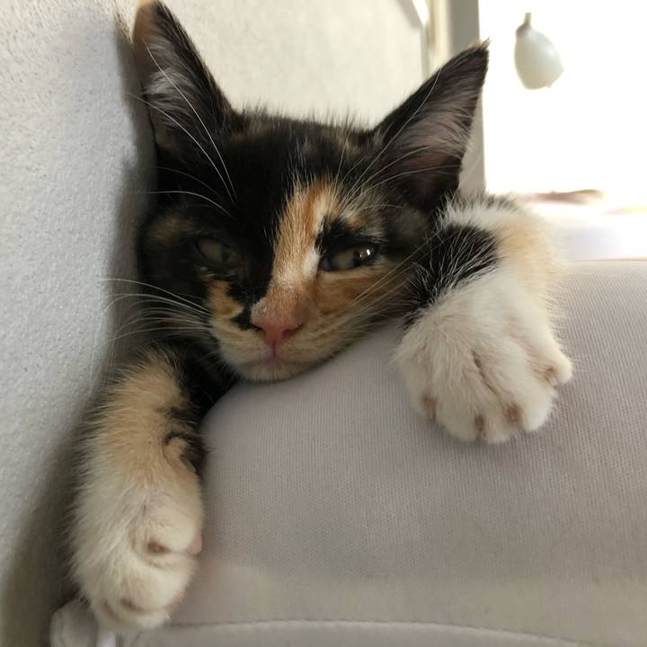 38f82aba 6f5b 4e8f bef2 96bd9ef17b94 1624228726974