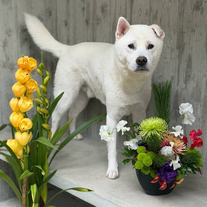 38f8558a 25dc 4ec0 a5fd 09fef5d5f449 1767076836420