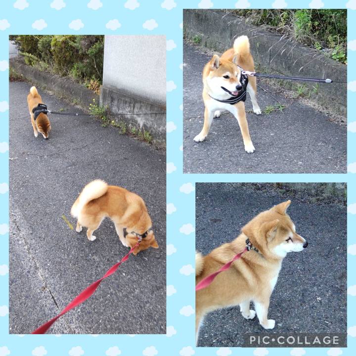 38f88923 7745 4b7d bad0 0cd51a67ca33 1750982307314